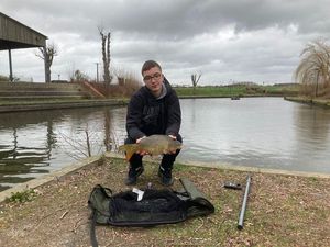 Common Carp