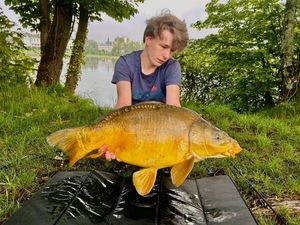 Mirror Carp