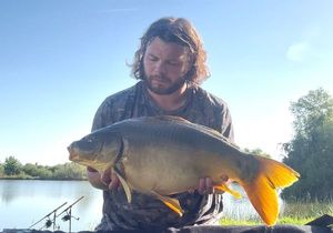 Mirror Carp