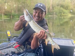 Northern Pike