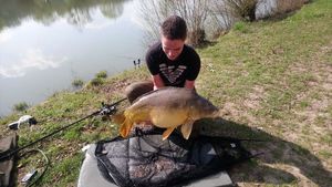 Mirror Carp