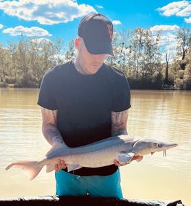 Sturgeon
