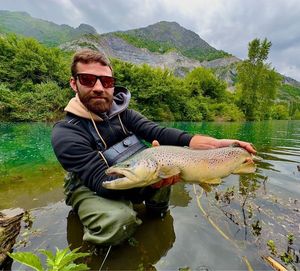 Brown Trout