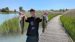 Largemouth Bass
