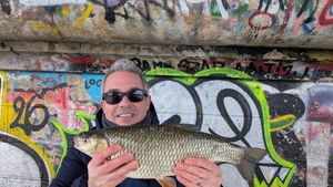 Chub