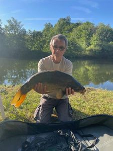 Mirror Carp