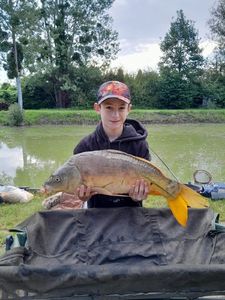 Mirror Carp