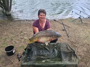 Mirror Carp