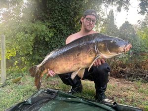 Mirror Carp