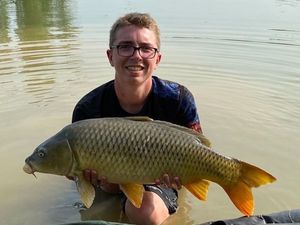 Common Carp