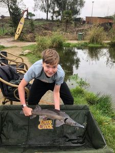 Sturgeon
