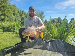 Mirror Carp