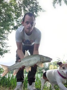 Barbel