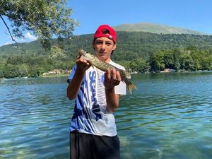 Northern Pike