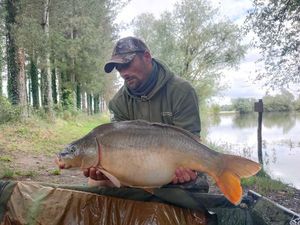 Mirror Carp