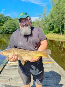 Common Carp