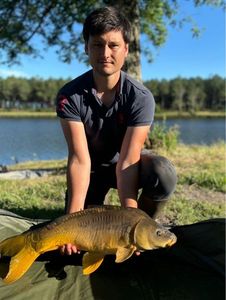 Mirror Carp