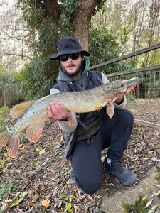 Northern Pike