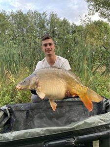 Leather Carp