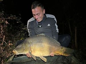 Mirror Carp