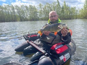 European Perch