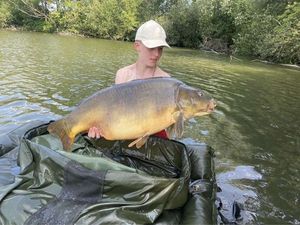 Mirror Carp