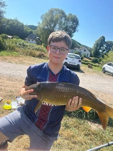 Common Carp