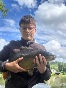 Mirror Carp