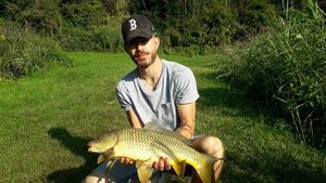 Common Carp