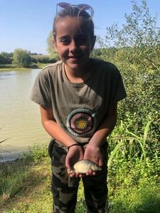 Crucian Carp