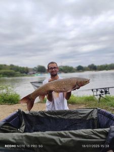 Grass Carp