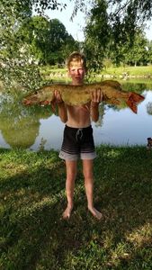 Chain Pickerel