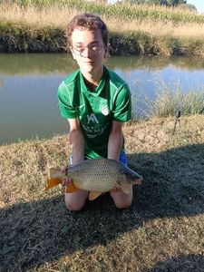Common Carp