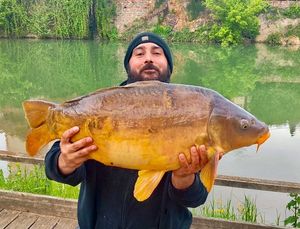 Mirror Carp