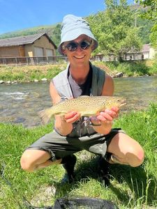 Brown Trout