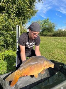 Mirror Carp