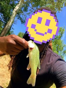 Largemouth Bass