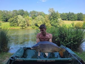 Mirror Carp