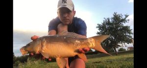 Leather Carp