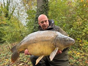 Mirror Carp