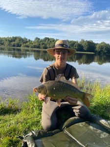 Common Carp