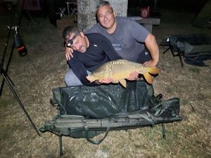 Mirror Carp