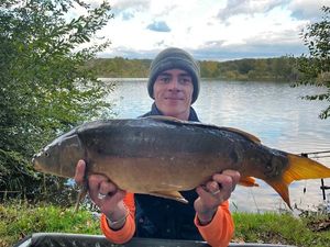 Mirror Carp