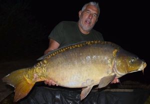 Mirror Carp