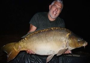 Mirror Carp