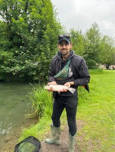 Brook Trout