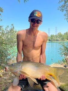 Common Carp
