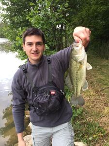 Largemouth Bass
