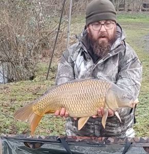 Common Carp