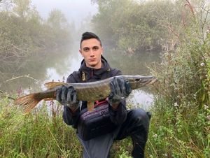 Northern Pike